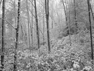 Big South Fork National River and Recreation Area 6