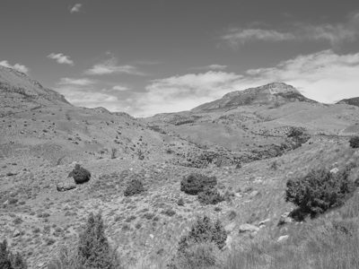 Bighorn National Forest 4