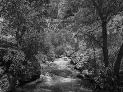Bighorn National Forest 7