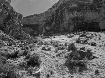 Bighorn National Forest 8