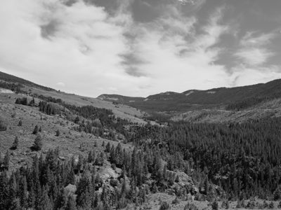 Black Hills National Forest 2