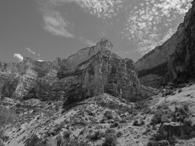 Black Hills National Forest 6