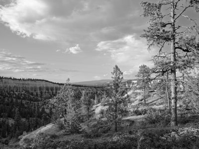 Bryce Canyon National Park 2
