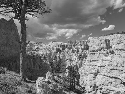 Bryce Canyon National Park 7