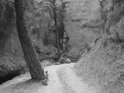 Bryce Canyon National Park 9