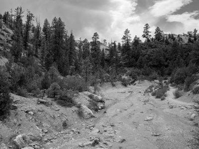 Bryce Canyon National Park 12