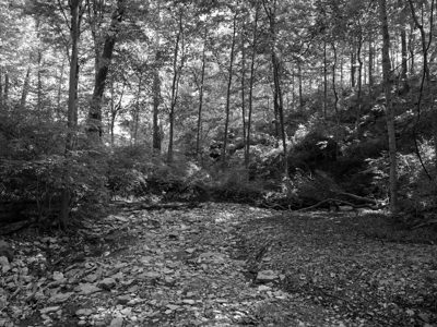 Caldwell Nature Preserve 4