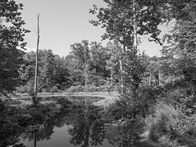 Chain O'Lakes State Park 2