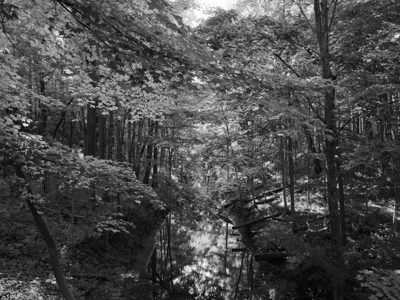 Chain O'Lakes State Park 5