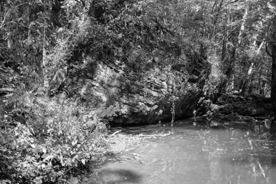 Clifton Gorge State Nature Preserve 3