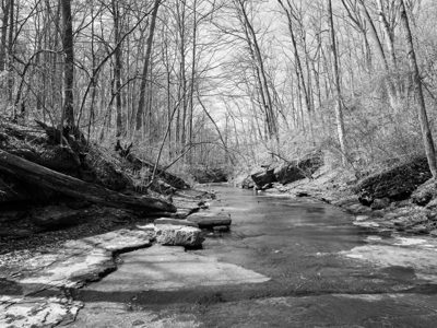 Clifty Falls State Park 4