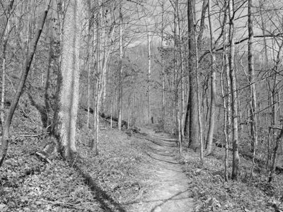Clifty Falls State Park 10