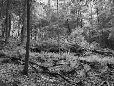 Cuyahoga Valley National Park 5
