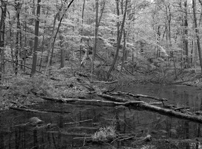Cuyahoga Valley National Park 8