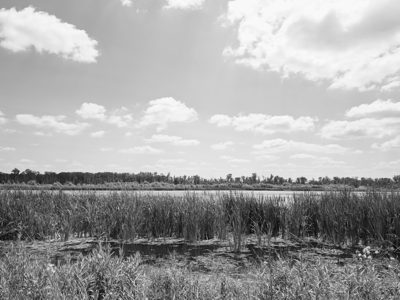 Eagle Marsh Nature Preserve 1