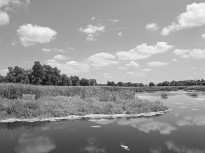 Eagle Marsh Nature Preserve 2