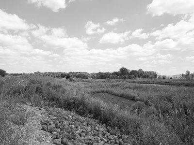 Eagle Marsh Nature Preserve 4