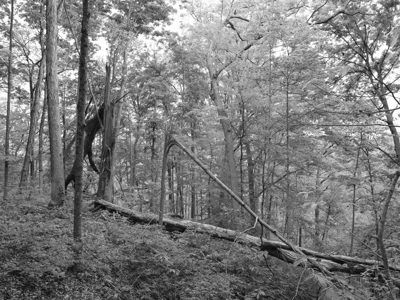 Edge of Appalachia Preserve 1