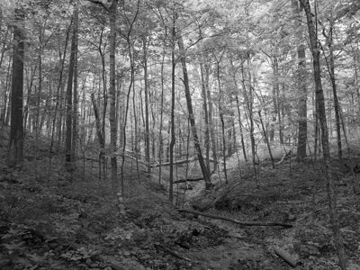 Edge of Appalachia Preserve 3