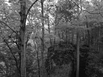 Edge of Appalachia Preserve 5