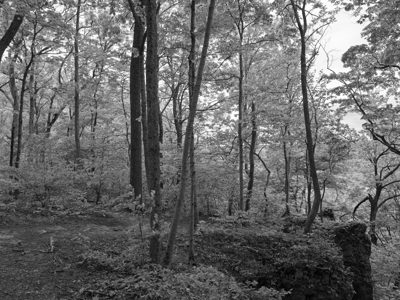 Edge of Appalachia Preserve 6