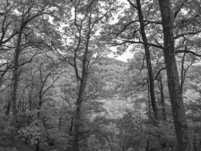 Edge of Appalachia Preserve 8