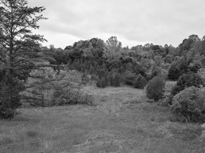 Edge of Appalachia Preserve 13
