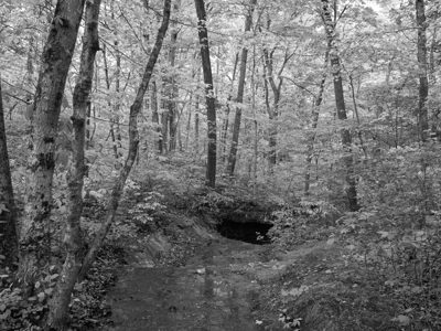 Edge of Appalachia Preserve 15