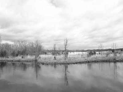 Fernald Preserve 1