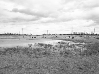 Fernald Preserve 4