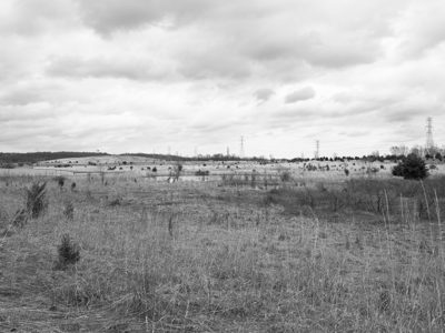 Fernald Preserve 6