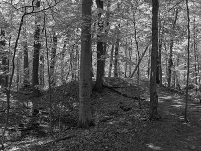 Flint Ridge State Memorial 1