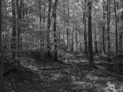Flint Ridge State Memorial 2