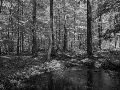 Flint Ridge State Memorial 3