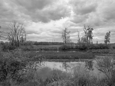 Ford Marsh Unit, Detroit River International Wildlife Refuge 1