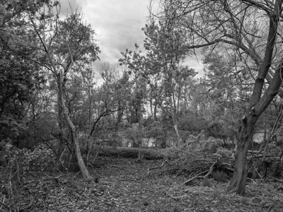 Ford Marsh Unit, Detroit River International Wildlife Refuge 2