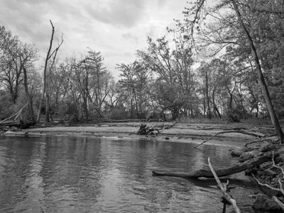 Ford Marsh Unit, Detroit River International Wildlife Refuge 3