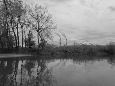 Ford Marsh Unit, Detroit River International Wildlife Refuge 4
