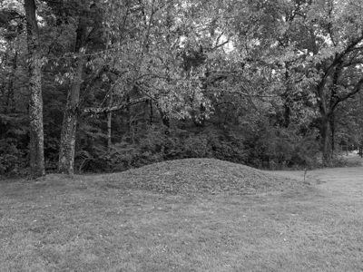 Fort Ancient Earthworks and Nature Preserve 1