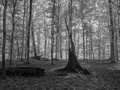 Fort Ancient Earthworks and Nature Preserve 3