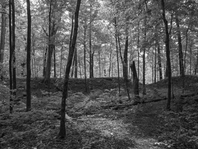 Fort Ancient Earthworks and Nature Preserve 4