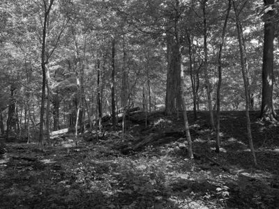 Fort Ancient Earthworks and Nature Preserve 7