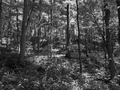 Fort Hill State Memorial 1
