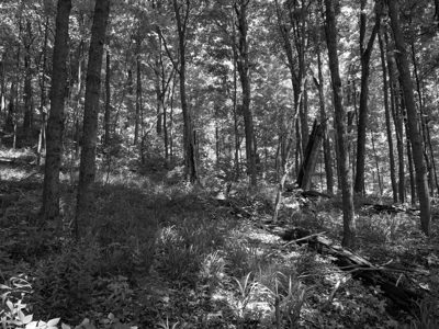 Fort Hill State Memorial 3