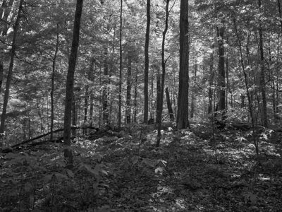 Fort Hill State Memorial 5