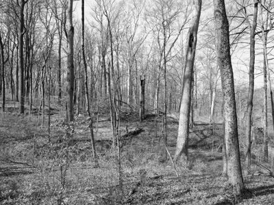 French Park 9