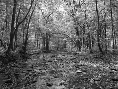 Glen Helen Nature Preserve 5