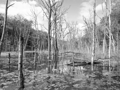 Glen Helen Nature Preserve 6