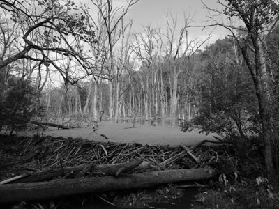Glen Helen Nature Preserve 8