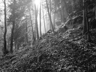Hocking Hills State Park 1